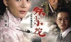 铁梨花电视剧全集在线观看
